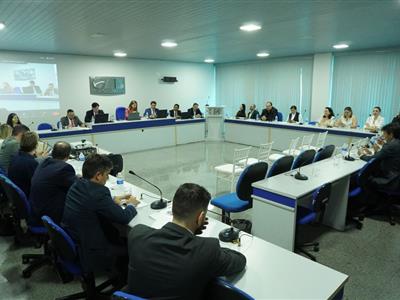 Foto da Notícia: Colégio de Presidentes das Subseções da OAB-MT apresenta proposta ao Conselho Federal