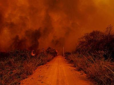 Foto da Notícia: Incêndios no Pantanal: OABs Nacional e MT pedem intervenção de Observatório Ambiental do CNJ e MP